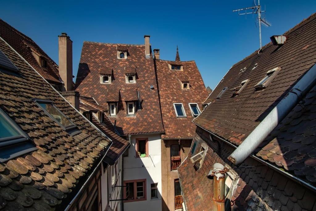 L'Or - Typical Alsacian Apartment In Strasbourg Bagian luar foto